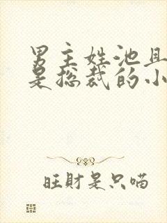 男主姓池且男主是总裁的小说