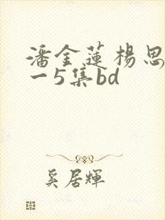潘金莲杨思敏1一5集bd