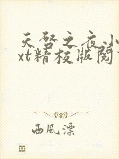 天启之夜小说txt精校版阅读