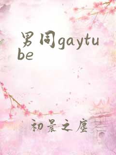 男同gaytube