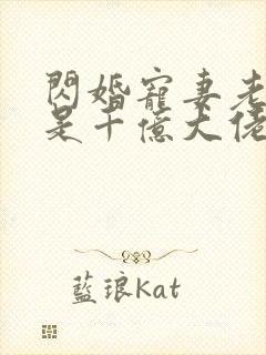 闪婚宠妻老公竟是千亿大佬免费阅读