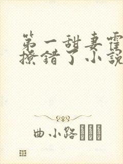 第一甜妻霍先生撩错了小说