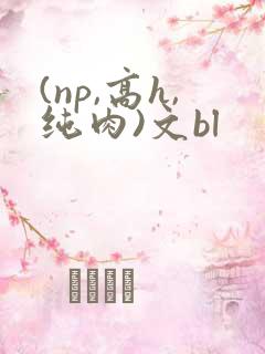 (np,高h,纯肉)文bl