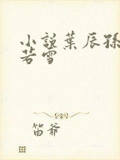 小说叶辰孙怡夏若雪