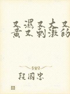 又湿又大又爽又黄又刺激的视频