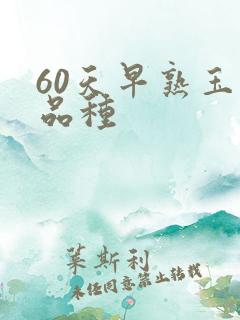 60天早熟玉米品种