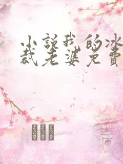 小说我的冰山总裁老婆免费阅读