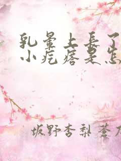 乳晕上长了许多小疙瘩是怎么回事