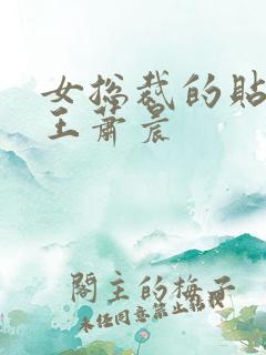 女总裁的贴身兵王萧晨