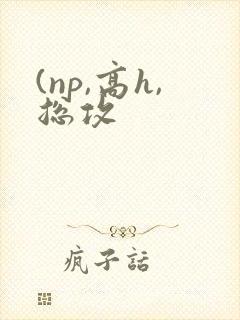 (np,高h,总攻
