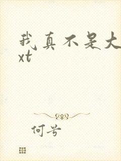 我真不是大佬txt