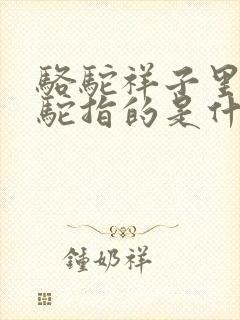 骆驼祥子里的骆驼指的是什么