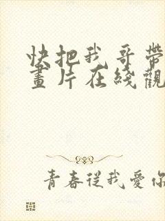 快把我哥带走动画片在线观看