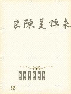 良陈美锦未删减