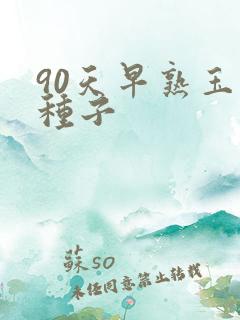 90天早熟玉米种子