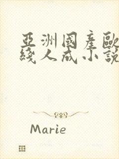 亚洲国产欧美在线人成小说