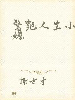 惊艳人生小说儿媳