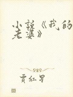 小说《我的空姐老婆》