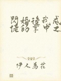 闪婚后我成了大佬的掌中之物69