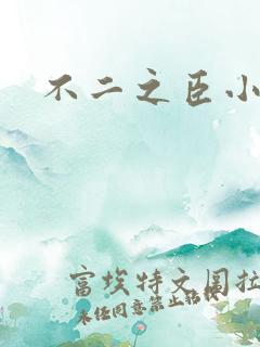 不二之臣小说