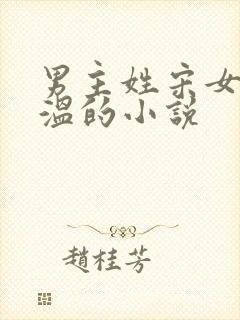 男主姓宋女主姓温的小说