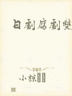 日剧腐剧双男主