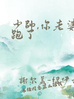 少帅,你老婆又跑了