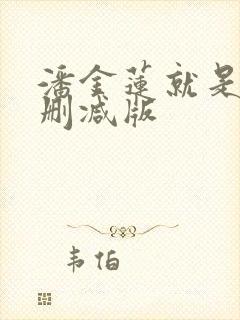 潘金莲就是我无删减版