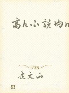 高h小说肉np