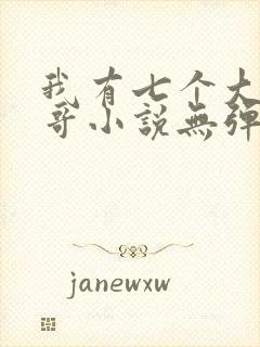 我有七个大佬哥哥小说无弹窗