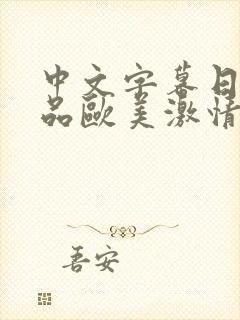 中文字幕日韩精品欧美激情