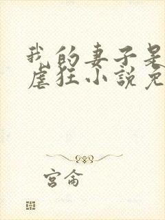 我的妻子是个受虐狂小说免费阅读