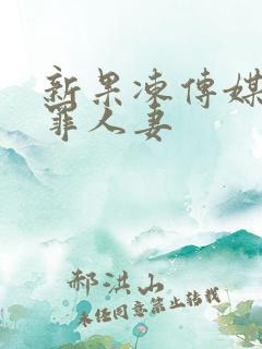 新果冻传媒之陪罪人妻