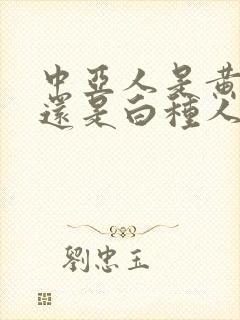 中亚人是黄种人还是白种人