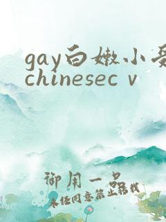 gay白嫩小受chinesecⅴ