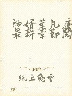 神婿叶凡唐若雪最新章节阅读