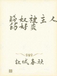 贱奴被主人调教的好爽