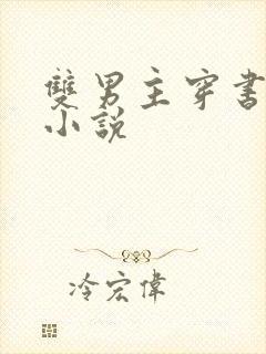 双男主穿书现代小说