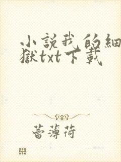 小说我的细胞监狱txt下载