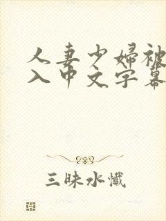 人妻少妇被猛进入中文字幕