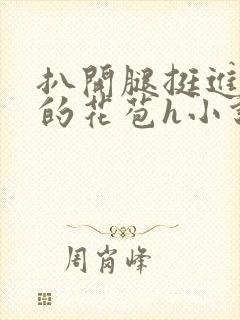 扒开腿挺进湿润的花苞h小说