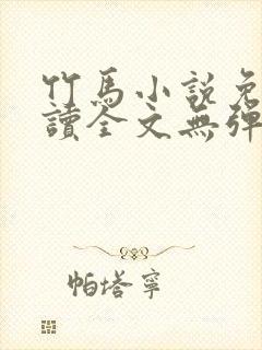 竹马小说免费阅读全文无弹窗