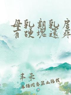 母乳期乳房里面有硬块还疼怎么回事