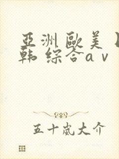 亚洲 欧美 日韩 综合aⅴ