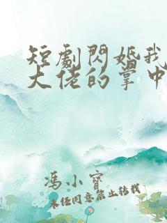 短剧闪婚我成了大佬的掌中之物