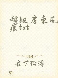 超级房东风过留痕txt