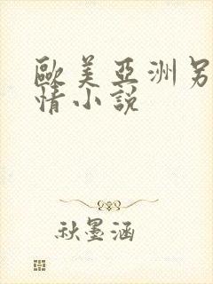 欧美亚洲另类激情小说