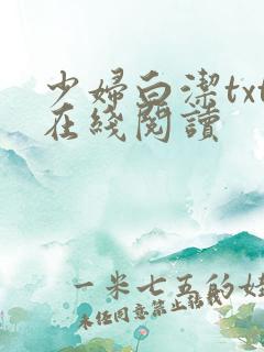 少妇白洁txt在线阅读