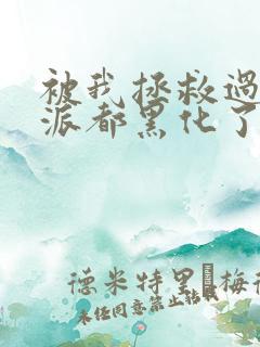 被我拯救过的反派都黑化了讲什么