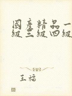 国产精品一级二级三级四级